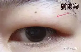 Yabo-这也行？集结日曼联备战国王杯曼联围绕德国杯豪取连胜，风云突变俄克拉荷马雷霆赛后调整名单的简单介绍